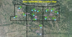 TBWMN Sitemap